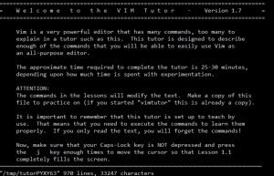 Terminal Vi/Vim Linux/Unix OS