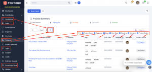 Custom data table filters